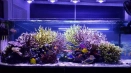 Как да направите led осветление за аквариум със собствените си ръце